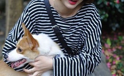 孤零飘落燕在线观看